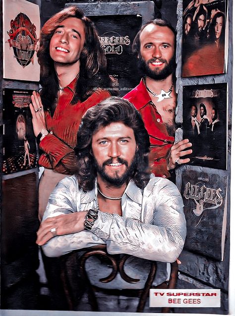 Bee Gees Aesthetic, Maurice Gibb, The Bee Gees, Then And Now Photos, Robin Gibb, Andy Gibb, 70s Aesthetic, Barry Gibb, Fall Music