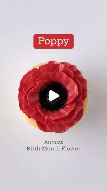 Eat Cake Be Merry - Liz Shim on Instagram: "August birth month flower is a poppy! ♥️🖤 Let’s celebrate with this cupcake that is full of bright red petals and a striking black center. 

Scroll down to see more birth month flower cupcakes!" Poppy Cupcakes, August Birth Month, Piping Flowers, Floral Cupcakes, Red Petals, Flower Cupcakes, Birth Month Flower, Be Merry, Month Flowers