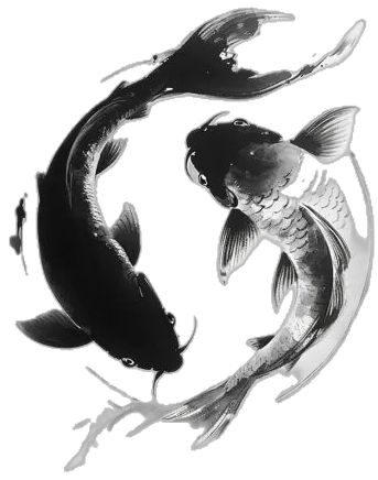 Chinese Fish Drawing, Coy Fish Art, Koi Fish Black And White, Fish Black And White, Yin And Yang Symbol, Black Koi Fish, Koi Fish Swimming, Coy Fish, Fish Artwork