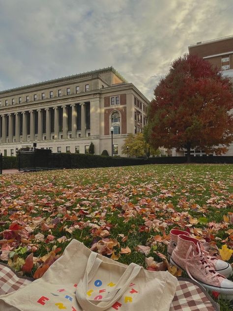 Colombia Law School, New York Columbia University, Aesthetic Columbia University, Columbia University Medical School, Colombia University New York, Columbia Law School Aesthetic, Columbia University Campus, Barnard College Aesthetic, American University Aesthetic