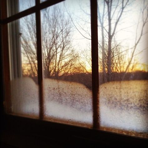 One of my favorite views in the early morning, before going out into the crisp air of autumn 13 November, Autumn Morning, Winter Mornings, Window View, Foto Art, Through The Window, Winter Aesthetic, Autumn Aesthetic, Morning Light