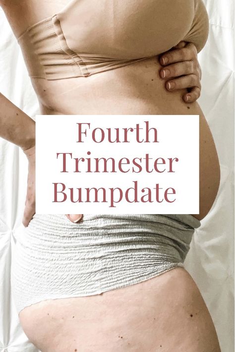 Sharing a summary of our Fourth Trimester: details about my breastfeeding journey, physical / hormonal changes, and everything in between! Trimester Checklist, Planning Life, Postpartum Essentials, Fourth Trimester, Nursery Designs, Gender Reveals, Postpartum Recovery, Hormonal Changes, Baby Announcements