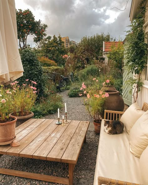 Our favourite spot in the garden. 🌈💫 #outdoorfurniture #outdoorphotography #outdoorliving #outdoorlivingspace #rattanfurniture… | Instagram Backyard Inspo, Outdoor Inspirations, Garden Cottage, Back Garden, Backyard Oasis, Outdoor Design, Dream Garden, Small Garden, Garden And Yard