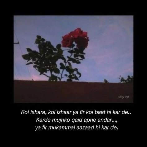 Rose Quotes Hindi, Gulab Shayari, Rose Shayari, Quote Captions, Make You Happy Quotes, Shayri Quotes, Novelist Quotes, One Liner Quotes, Soul Poetry