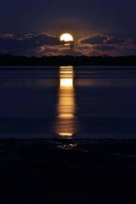 ...rising beauty... magical., we are always under the same moon ... I like that Shoot The Moon, Sunset Sea, Moon Pictures, Beautiful Moon, Harvest Moon, Moon Glow, The Night Sky, Bye Bye, Blue Moon