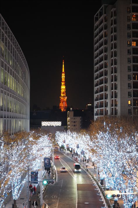 Dear the lovely winter illumination in Tokyo, I’ll see you again. – Roppongi Hills, Tokyo, 2017 Tokyo Winter, Tokyo Midtown, Roppongi Hills, Roppongi, See You Again, Places Ive Been, See You, Tokyo, Japan