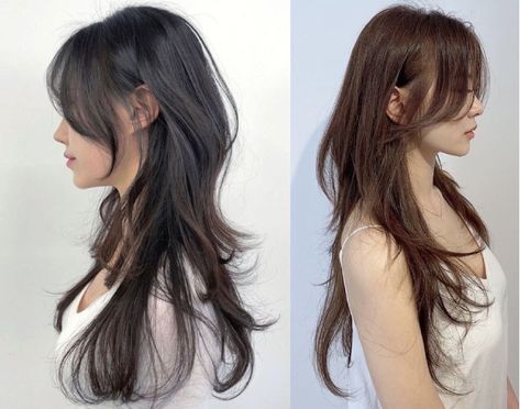 Step Layered Haircut, Heavy Layers Long Hair, Hush Cut Hair Long, Korean Hush Haircut, Hush Cut With Bangs, Haircuts For Asian Women, Korean Hush Cut, Hush Haircut, Hush Cut