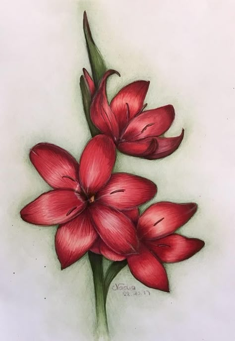 Flower Drawings With Color, Orchid Drawing, Color Pencil Sketch, Pencil Drawings For Beginners, Flower Art Drawing, Cool Pencil Drawings, Rose Drawing, Easy Doodle Art, Pretty Drawings