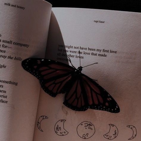 Dark Academy, Dark Academia Aesthetic, Academia Aesthetic, A Butterfly, Dark Aesthetic, Dark Academia, My Aesthetic, The Words, The Moon