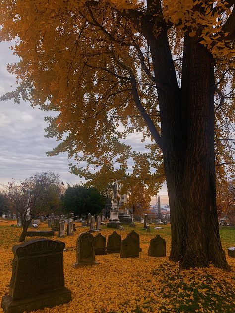 #cemetry #autumn #graveyard #darkacademia #darkaesthetics #autumnleaves #fall #autumnvibes #moody #gothic Autumn Graveyard Aesthetic, Fall Graveyard Aesthetic, Fall Park Aesthetic, Gothic Autumn Aesthetic, Fall Graveyard, Campbell Core, Moody Fall Aesthetic, August Period, Autumn Graveyard