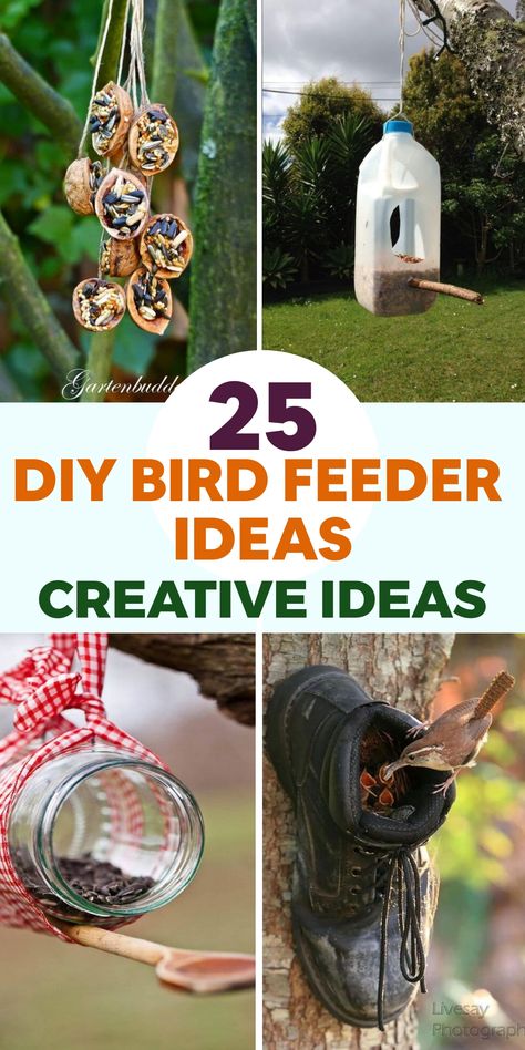 Embrace the beauty of nature by creating your own unique bird feeders for your garden! These DIY ideas will not only attract feathered friends but also add charm and joy to your outdoor space. Explore creative methods using recycled materials and nature-inspired designs to nourish and entertain the birds visiting your garden. Enhance the aesthetic of your outdoor area with these decorative elements that bring whimsy and wonder to birdwatching. Simple Bird Feeder, Mini Rock Garden, Bird Feeder Station, Unique Bird Feeders, Backyard Birds Sanctuary, Fall Landscaping, Bird Feeder Plans, Bird Feeder Craft, Easy Bird