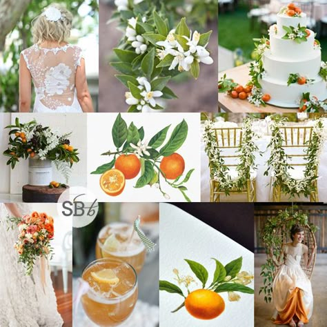 Orange Blossom Wedding Inspiration | SouthBound Bride… Old Florida Wedding, Orange Blossom Wedding, Citrus Theme, Botanical Wedding Inspiration, Beauty Plan, Citrus Wedding, Wedding Orange, Orange Blossoms, Wedding Palette