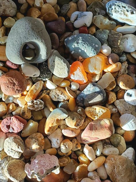 Rock Hounding Oregon Coast, Agate Beach Oregon, Rock Hounding Oregon, Rockhounding Idaho, Rockhounding Tools, Oregon Rockhounding, Rockhounding California, Rockhounding Oregon, Rockhounding Washington