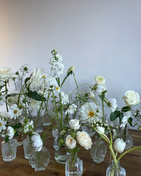 save this for inspo if you love romantic english garden vibes ~ white & green edition 🍃🍵🫧🤍🌱🧺🥑🕊️🥝🦢👒 Simple Florals For Wedding, Fake Flower Decor Wedding, Simple White And Green Centerpiece, White Garden Party Wedding, Wedding Inspo Minimalist, Flowers For Green Wedding, Green And White Garden Wedding, Green And White Rustic Wedding, White Wedding Flowers Decor