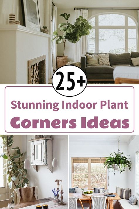 Add glamour and green vibe to the section of your rooms by taking ideas from these Stunning Indoor Plant Corners for having fabulous indoor decor! Plant Decor Corner Living Room, Hanging Plants In Living Room Ideas, Corner Planters Indoor, Corner Decor With Plants, Styling Plants Living Rooms, Corner Indoor Plant Ideas, Plants Corner Indoor, Hanging Plants In Corner Of Room, Hanging Plants In Dining Room