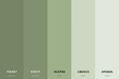 Sage Green Pantone Colour Palettes, Soft Green Color Palette, Hex Green, Green Hex Code, Color Palettes With Names, Green Color Palettes, Sage Color Palette, Soft Green Color, Green Color Palette