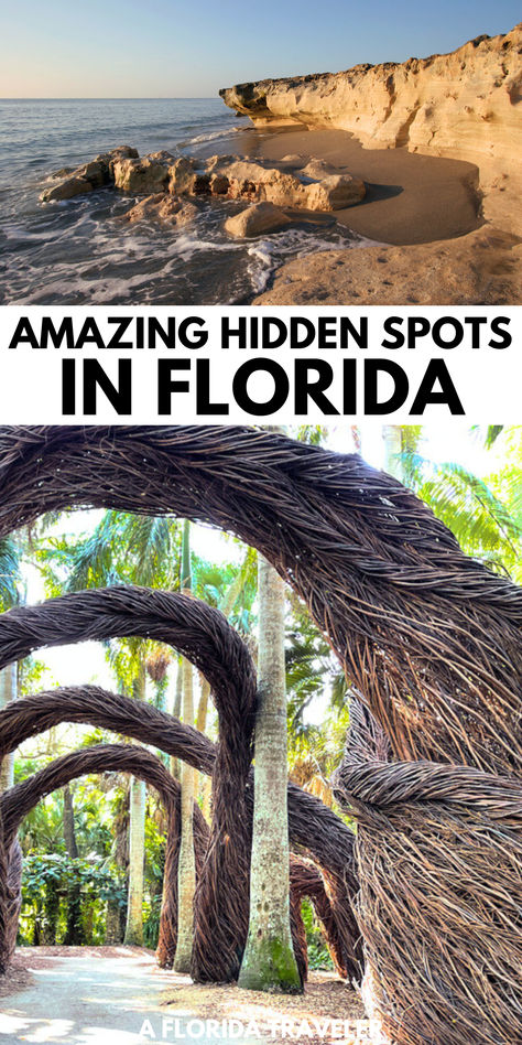 Want to visit some of the lesser known hidden gems in Florida? These amazing spots are sure to impress and are some of the best places to visit in Florida. Unique Places In Florida, Places To Go In Florida Bucket Lists, Florida Must See Places, Cool Places To Visit In Florida, Best Places To Visit In Florida, Hidden Gems In Florida, Florida Places To Visit, Things To Do In Tampa Florida, Places To Travel In Florida