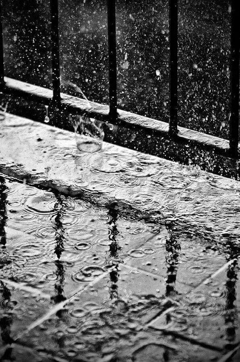 Rainy Days Rain Falling, I Love The Rain, Love The Rain, I Love Rain, Love Rain, Walking In The Rain, Rain Rain, Singing In The Rain, Rainy Night