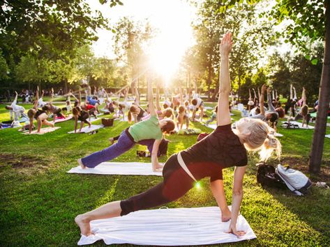 See how Alexandria ranks for quality of life, physical environment and other factors compared to other places. Yoga Reference, Exercise For Hips, Best Exercise For Hips, Country Club Plaza, Workout Videos Free, Healthy Activities, Urban Forest, Alexandria Virginia, Wellness Industry