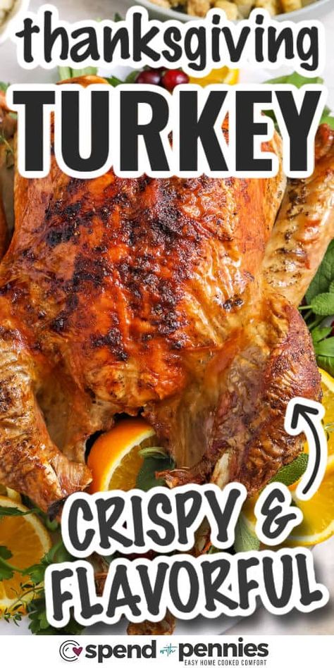 Thanksgiving Turkey How To Bake A Whole Turkey In The Oven, Oven Cooked Turkey Recipes, Juicy Turkey With Crispy Skin, Roast Thanksgiving Turkey, Cooking Thanksgiving Turkey The Day Before, Beer Turkey Thanksgiving, Best Way To Roast A Turkey In The Oven, Easy Way To Cook Turkey, Season A Turkey Thanksgiving