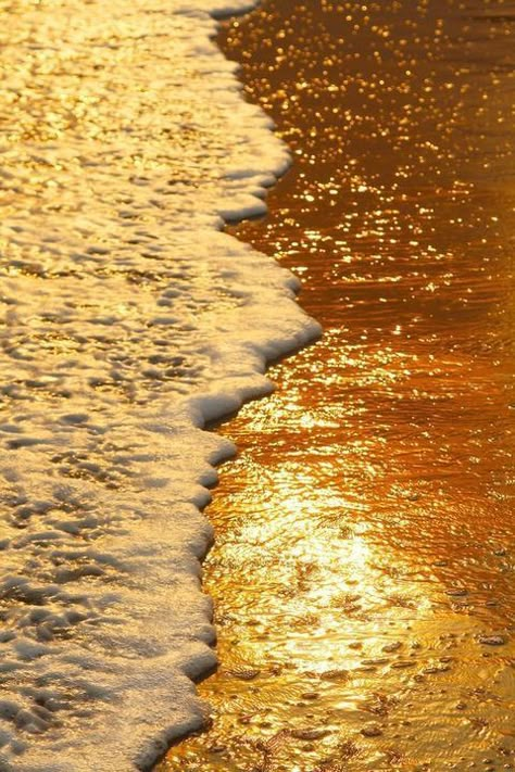 Backgrounds and Aesthetics - Gold - Wattpad Beach Foto, Apollo Aesthetic, Ed Wallpaper, Hufflepuff Aesthetic, Aesthetic Header, Aesthetic Yellow, رعب نفسي, Gold Aesthetic, Macbook Wallpaper