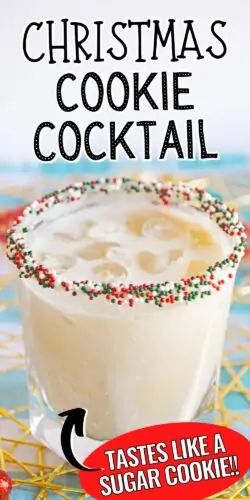 Christmas Cookie Cocktail Recipe Frozen Holiday Drinks, Drinks Made With Vanilla Vodka, Christmas Drink With Vodka, Tippy Cow Recipes Drinks, Christmas Party Food Gluten Free, Christmas Cocktails Easy Vodka, Cocktails With Vanilla Vodka, Baileys Christmas Drinks, Drinks With Vanilla Vodka