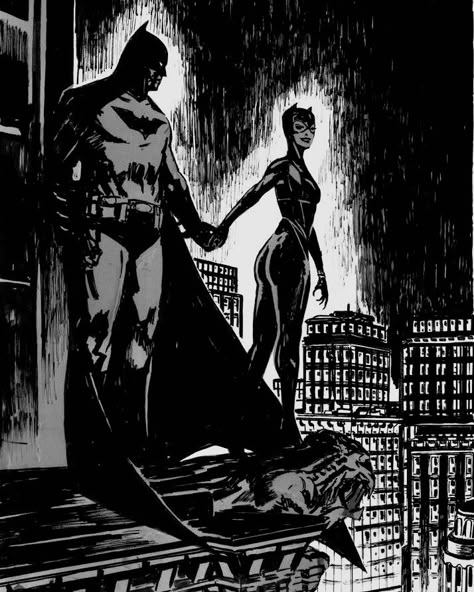 Bruce And Selina, Batman Love, Batman Catwoman, Catwoman Comic, Otto Schmidt, Bat Cat, Calloway Sisters, Batman Pictures, Batman And Catwoman