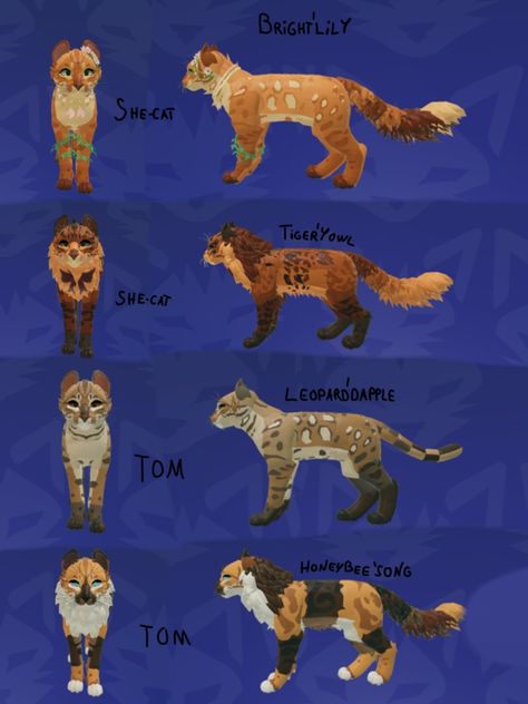 Wcue Morph Ideas Non Cat, Roblox Warrior Cats Morphs, Wcue Morph Ideas Brown, Wcue Morph Ideas Calico, Warrior Cat Oc Ideas Wcue, Warrior Cats Ultimate Edition Morph Ideas, Morph Ideas Warrior Cats, Warrior Cats Oc Design Roblox Ideas, Wcue Oc Idea