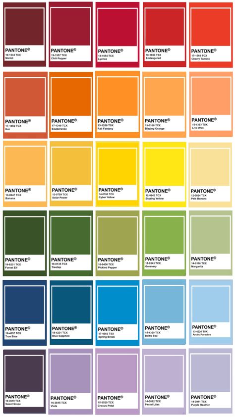 #rainbow #pantone #colorful Pantone Color Chart, Pantone Palette, Pantone Colour Palettes, Printable Vintage Art, Trend Forecasting, Vintage Printables, Color Box, Color Swatches, Pantone Color