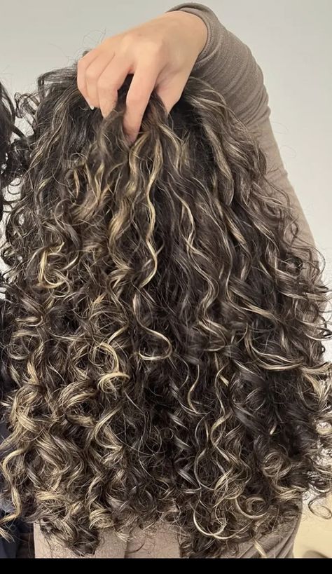 Hair Colours Curly Hair, Cute Highlights For Curly Hair, Oreo Hair On Curly Hair, Highlights On Wavy Curly Hair, Curly Hair Inspiration Color, Curly Hairstyles Blonde Highlights, Half Head Pintura Highlights Curly Hair, Streaky Highlights Curly Hair, Light Highlights Curly Hair