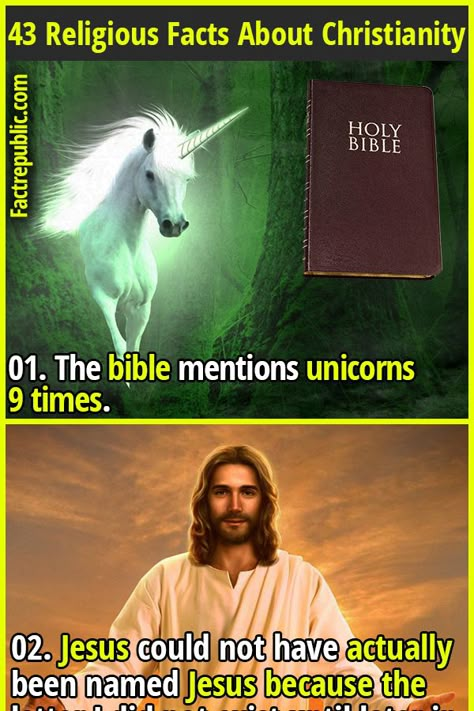 Atheism Humor, Epic Facts, Jesus Book, Facts About Humans, Fact Republic, Bible Humor, Bible Motivation, Bible Facts, Christian School