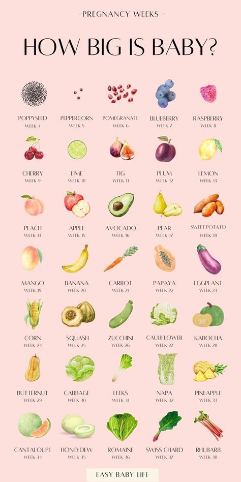 Planning on getting pregnant, or maybe already a pregnant new mom? Learn all about pregnancy week by week and see baby size by week during all three trimesters of pregnancy with this pregnancy chart! Through each of the pregnancy stages, you can check out how big baby is and which fruit they’re most likely the size of! Also find pregnancy tips and facts for all pregnancy weeks. Perfect pregnancy guide for early pregnancy until birth. Pregnancy Tips For New Moms, Pregnancy Fruit, Baby Size By Week, Pregnancy Weeks, 9 Weeks Pregnant, 17 Weeks Pregnant, Pregnancy Chart, 11 Weeks Pregnant, 6 Weeks Pregnant