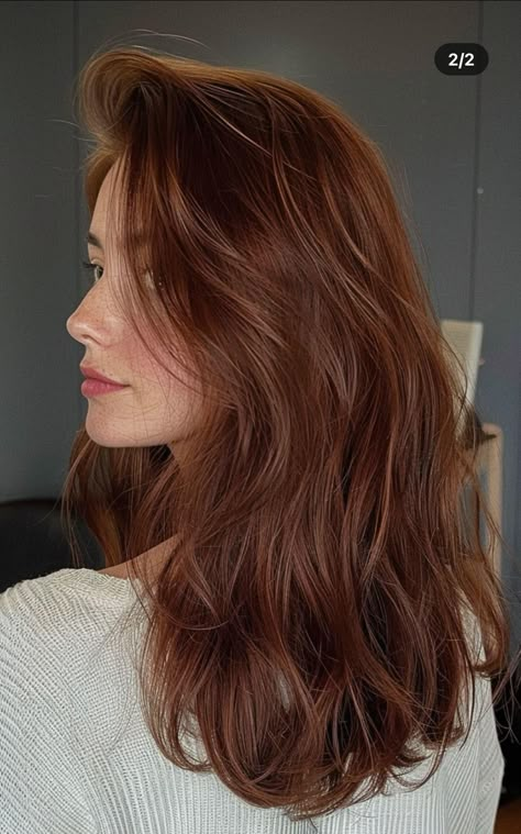 Auburn Hair Neutral Skin, Warm Tone Hair Color, Hair Color For Warm Skin Tones, Copper Brown Hair, Copper Hair Dark, Timeless Hair, Red Hair Inspo, Brown Hair Looks, Brown Hair Inspo