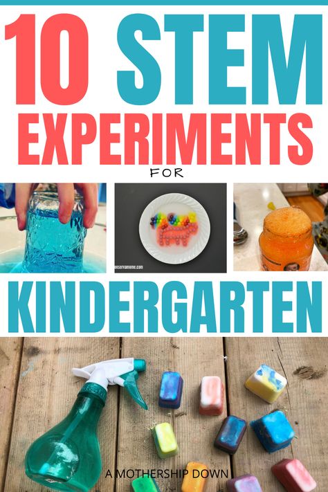 Experiments For Kindergarten, Stem Activities For Kindergarten, Kindergarten Science Projects, Kindergarten Science Experiments, Simple Stem Activities, Science Experiments Kids Preschool, Stem Activities Kindergarten, Kindergarten Stem, Easy Stem