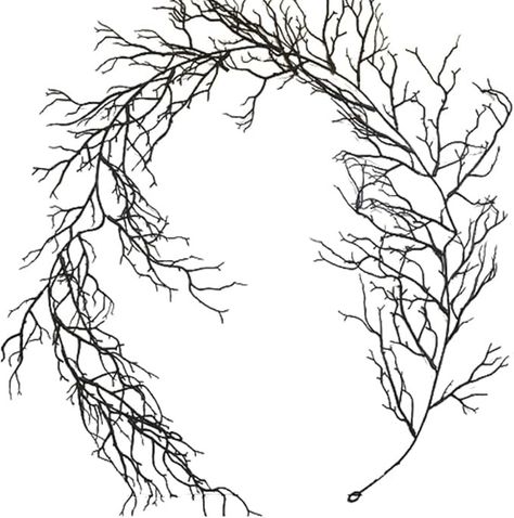 Amazon.com: 5.7 FT Halloween Willow Vine Twig Decor Garland, Black Branches Garland for Wall Bedroom Home Fireplace Mantle Decoration (Black) : Home & Kitchen Thankgiving Party, Twig Decor, Twigs Decor, Vine Garland, Halloween Mantle, Fireplace Mantle Decor, Halloween Garland, Wall Bedroom, Home Fireplace