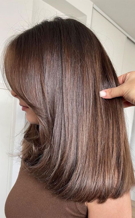 Chestnut Brown Hair Medium Length, Bob Hairstyles One Length, Latest Hair Colour Trend 2024, Straight Brown Hair With Layers, Medium Chocolate Brown Hair, Milk Chocolate Hair Color, Hazelnut Hair, Medium Length Brown Hair, Medium Length Wavy Hair