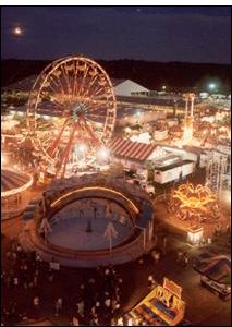 The Gwinnett Co Fair is held annually in Lawrenceville, GA.  Check out their website for all of the happenings, dates, directions and more. www.gwinnettcountyfair.com   Want to live in Lawrenceville, GA or surrounding area?  I would be happy to help you with your move!! www.amiebozeman.net Bloomsburg Fair, Alameda County Fair, Hobbs New Mexico, Carnival Photography, Carnival Lights, Ferris Wheels, Fountain Lights, Southern Life, Carnival Rides