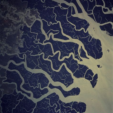 ganges Fractals In Nature, Ganges River, River Delta, Satellite Image, Earth From Space, Aerial Photo, Photography Gallery, Birds Eye View, Drone Photography