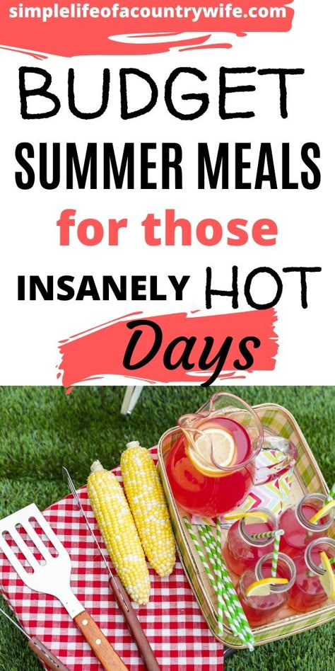 Cheap Summer Dinner Ideas, Meals For Hot Days, Cheap Summer Meals, Hot Day Dinners, Healthy Summer Meals, Summer Budget, Hot Weather Meals, Quick Summer Meals, Light Dishes