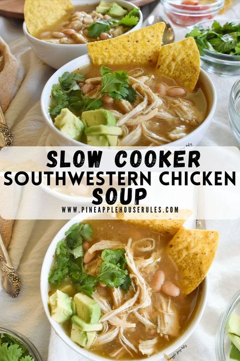 Frozen Chicken Recipes Easy, Crockpot Frozen Chicken Recipes, Soup Slow Cooker Recipes, Southwestern Soup, Frozen Chicken Crockpot, Southwestern Chicken Soup, Chicken Soup Slow Cooker, Slow Cooker Appetizers, Frozen Chicken Recipes