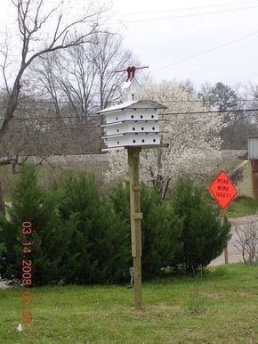 Purple Martin house and pole with hoist. Martin House Plans, Purple Martin House Plans, Purple Martin Bird, Purple Martin Birdhouse, Martin Bird House, House Plan Ideas, Martin Bird, House Plans Modern, Backyard Birds Sanctuary