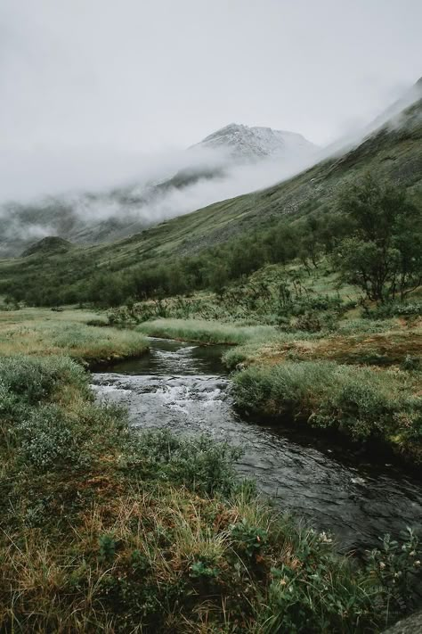 Backpacking in Swedish Lapland: Vistas Valley - In the Woods, Dear Scandinavian Nature Aesthetic, North Europe Aesthetic, Lapland Aesthetic, Scandinavian Countryside, Swedish Mountains, Sweden Countryside, Europe Interrail, Swedish Landscape, Valley Aesthetic