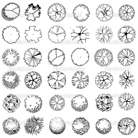 App Architecture, Sketchbook Architecture, Architectural Trees, Architecture Gifts, Landscape Architecture Graphics, Palm Tree Drawing, Landscape Architecture Plan, Computer Architecture, Landscape Design Drawings