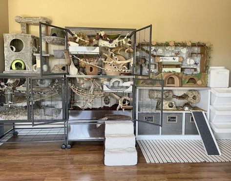 Themed Hamster Cages, Rat Room Ideas, Rat Free Roam Area, Mouse Enrichment, Chinchilla Enclosure, Mouse Cage Ideas, Ferret Room Ideas, Chinchilla Cage Ideas, Ferret Diy