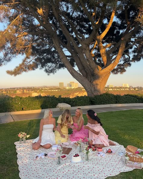 Aesthetic Picnic Pictures Friends, Picnic Girls Party, Bday Picnic Ideas, Girls Picnic Ideas, Picnic Cake Ideas, Picnic Bday Party Ideas, Pink Birthday Picnic, Picnic Birthday Party Aesthetic, 19 Birthday Ideas