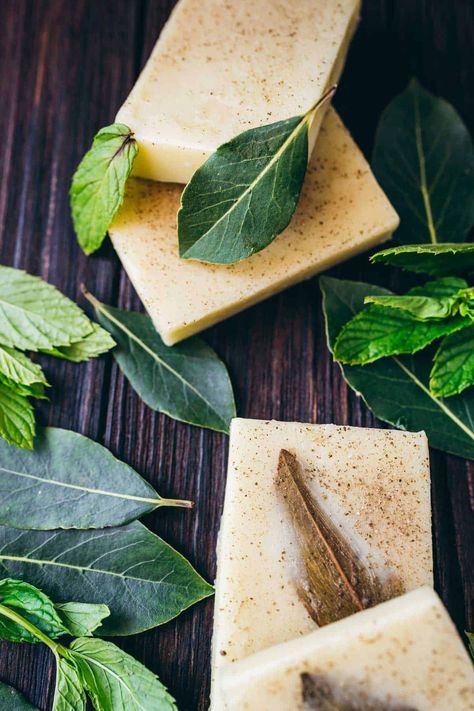 With an uplifting rosemary and mint scent and completely natural, this DIY shampoo bar recipe helps revitalize your hair. Made with only five ingredients and completely lye-free, this shampoo bar helps strengthen hair follicles and curb hair loss. Diy Shampoo Bars, Nettle Shampoo, How To Make Shampoo, Diy Shampoo Bar, Homemade Shampoo Bar, Rosemary Mint Shampoo, Diy Conditioner, Shampoo Bar Recipe, Rosemary Shampoo