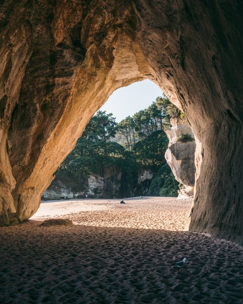 Everything you need to know about the famous Cathedral Cove on the North Island in New Zealand including what to expect, how and when to get there, where to stay and what to bring. French Castle Aesthetic, Mermaid Lesbian, Pool Lifeguard, Downtown Fort Lauderdale, Cathedral Cove, Beach Cove, Deserted Island, Kayak Tours, The Cove