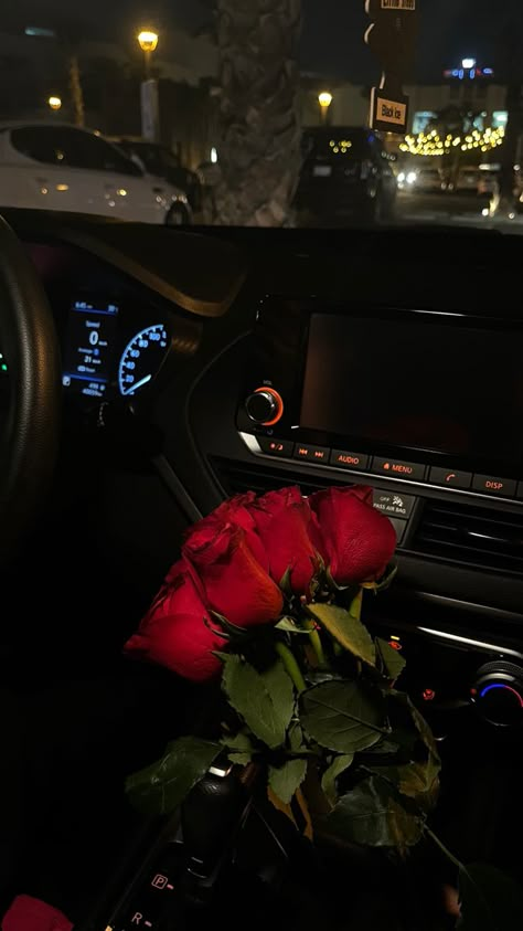 Night , car ride Night Car Ride, Thank The Universe, Me U, Car Ride, Love You More Than, Love You More, Red Rose, Your Pet, The Universe