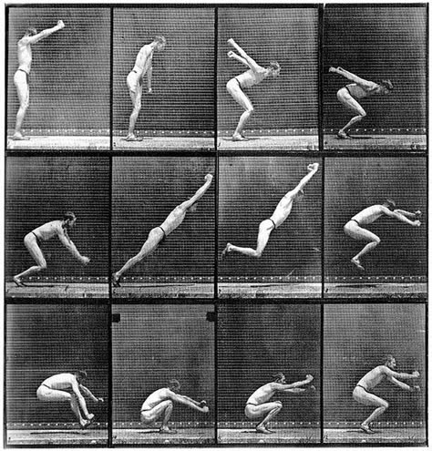 Edward Muybridge, Sequence Photography, Ancient Olympics, Eadweard Muybridge, Narrative Photography, Human And Animal, Bodyweight Training, Motion Photography, Frame By Frame Animation