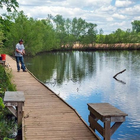 🎣 Had an incredible day fishing at an Alabama pond! The bite was on, and the bass were out in full force. Nothing beats the tranquility of pond fishing – the perfect place to test out some new lures and techniques. Whether you're after bass, bluegill, or catfish, this spot never disappoints. Great weather, great fish, and an unbeatable view! 🐟🌅 #FishingLife #AlabamaFishing #PondFishing #BassFishing #CatchAndRelease #FishingAdventures #SouthernOutdoors #NatureLovers #AnglerLife #FishOn #usa ... Catfish Pond, Fish Pond Ideas, Pond Fishing, Fishing Pond, Pond Ideas, Lake Fishing, Fish Ponds, Fishing Life, G Adventures